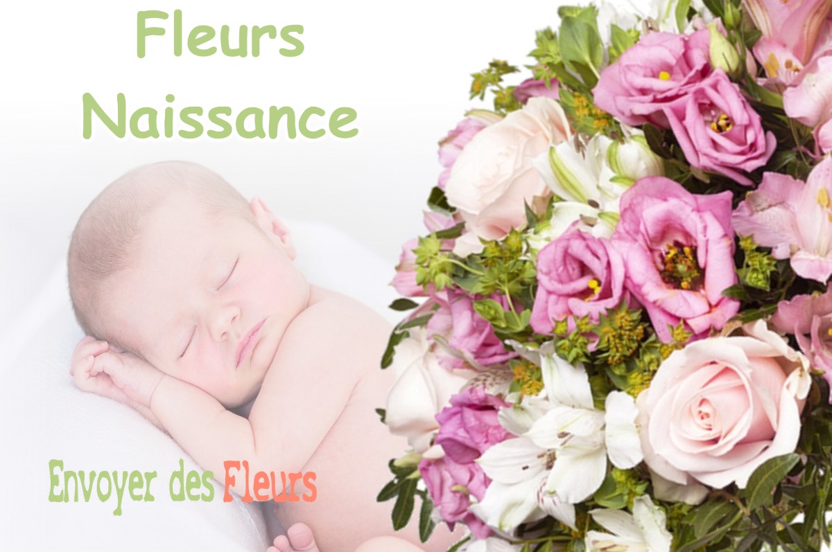 lIVRAISON FLEURS NAISSANCE à ASCROS